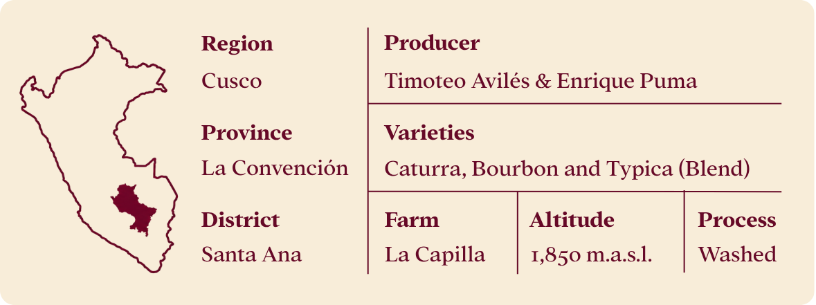 Technical sheet: Region Cusco, Province La Convención, District Santa Ana, Producers Timoteo Avilés and Enrique Puma, Varieties Caturra, Bourbon and Typica, Farm La Capilla, Altitude 1,850 m.a.s.l., Process Washed