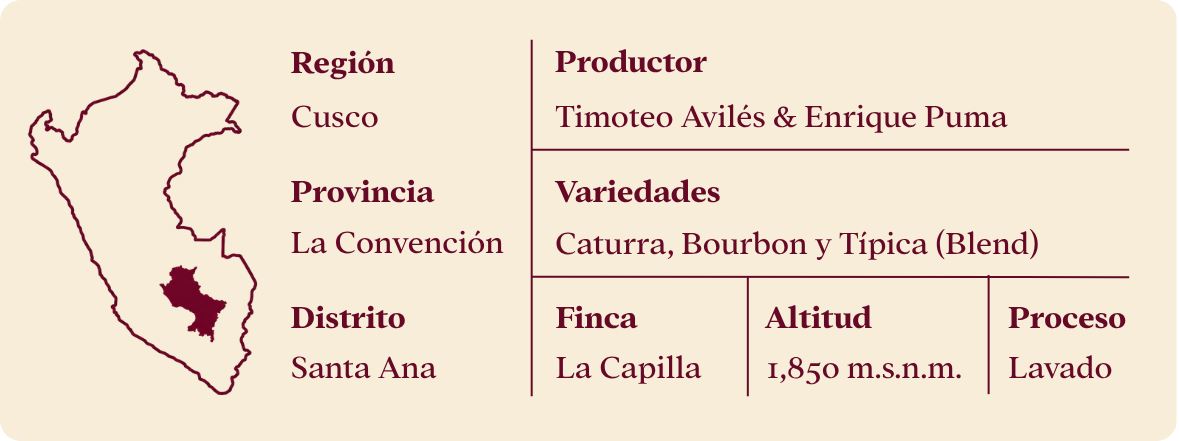 Ficha técnica: Región Cusco, Provincia La Convención, Distrito Santa Ana, Productores Timoteo Avilés y Enrique Puma, Variedades Caturra, Bourbon y Típica, Finca La Capilla, Altitud 1,850 m.s.n.m., Proceso Lavado