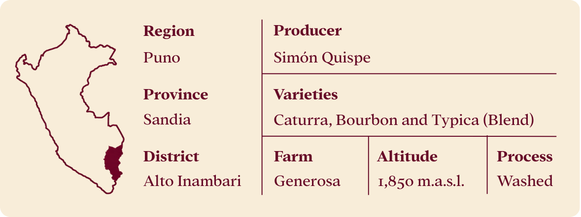 Technical sheet: Region Puno, Province Sandia, District Alto Inambari, Producer Simón Quispe, Varieties Caturra, Bourbon and Typica, Farm Generosa, Altitude 1,850 m.a.s.l., Process Washed